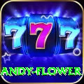 andy flower - Slots Extreme