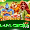 bpl live cricket Money VIP v3.5.7