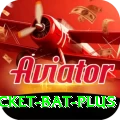 cricket bat Bonus Master v2.6.5