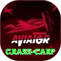 grass carp Gaming Royal