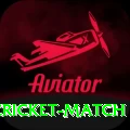 india newzealand cricket match Game Pro v3.5.2