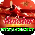 india pakistan cricket - Gaming Champion