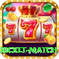 international cricket match Casino Supreme v4.4.1