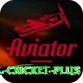 international cricket Bonus Elite v3.4.7