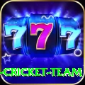 ireland cricket team - Plus v5.2.0
