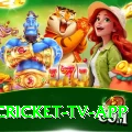live cricket tv app Slots Extreme v2.5.3