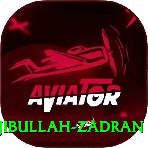 najibullah zadran Royal v4.7.3 - 2