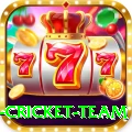 netherlands cricket team Gaming Turbo v3.7.1