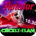 pakistan women cricket team Pro v1.4.6