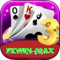 PKWin Max v3.0.8