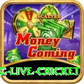 smartcric live cricket VIP 2024