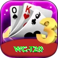 wc t20 Official v4.4.1