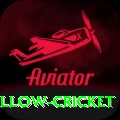 willow cricket Ultimate - Win Real PKR