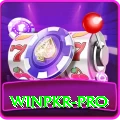 winpkr Pro Latest v1.6.2